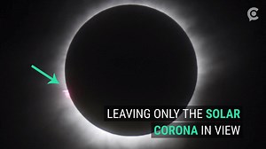 225K views · 105 reactions | Here's something to look forward to in...