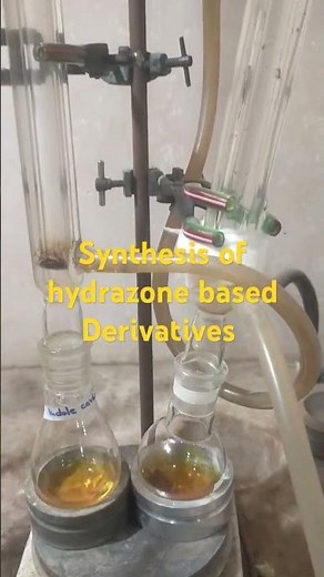 Synthesis of Hydrazone based Derivatives