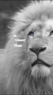 EMBRACE CHANGE: LIFE'S SURPRISING TURNS #ChangeIsGood #LifeLessons #PersonalGrowth