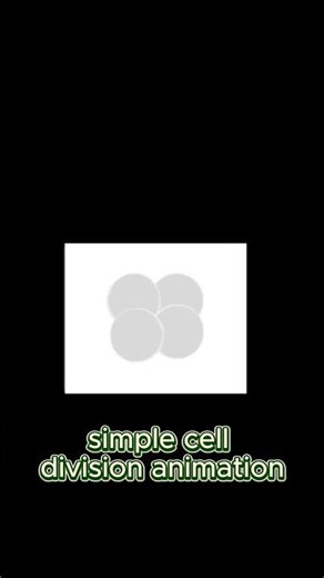 simple cell division animation made in figma #animation #figma #prototype