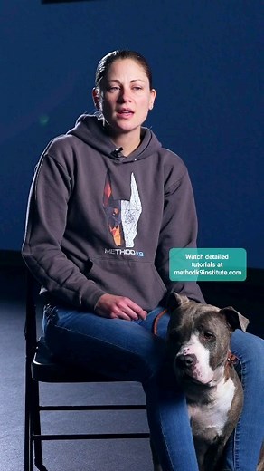 Did your dog become fearful, anxious, reactive, or aggressive in a situation they had always done well in? We might need to look at the big picture to understand why. Visit methodk9institute.com for detailed online courses and tutorials. | Method K9