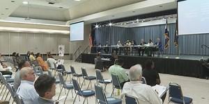 Alexandria City Council calls special meeting to review a new cyber security software