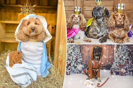 Adorable Nativity display brings smiles — and charity money — with help from dozens of dogs: ‘Fun and wholesome’
