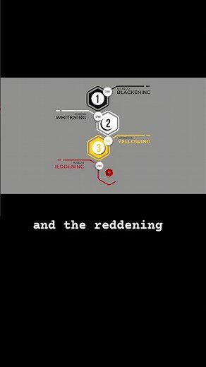 The “Stages” of Alchemy