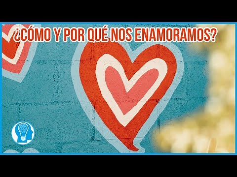 Neuropsychology of Love: How and Why Do We Fall in Love?