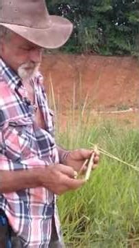 King 👑 gives ionic wands test 9832