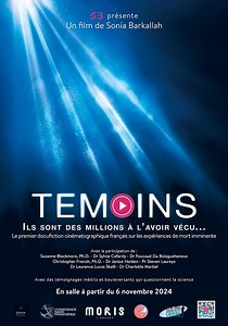 Où regarder Témoins en streaming complet et légal ?