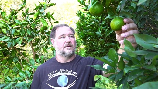 Isolating in the deep green... on our food property