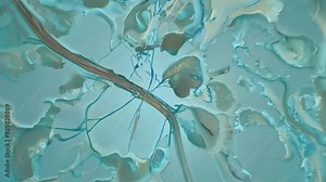 Microscopic exploration of vibrant neural pathways showcasing intricate biological structures