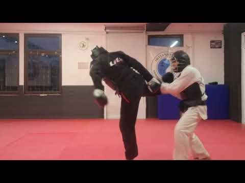 Nippon Kempo Jujutsu