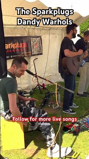 The Sparkplugs playing Dandy Warhols live #livemusic #thesparkplugs #dandywarhols