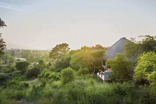 Pioneer Camp - Homestead Safari Villa in Kruger | Londolozi Game Reserve