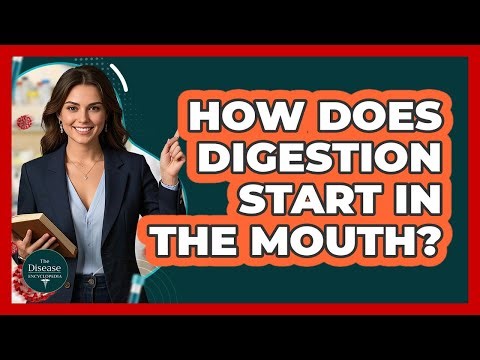 How Does Digestion Start In The Mouth?