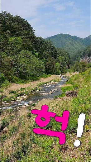 헉! 세상에나~.....................................................트로트메들리,트롯,7080노래,5060노래,배금성 노래,사랑이비를맞아요