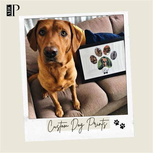 ABC Prints on Reels | Facebook