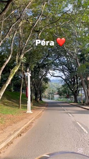 University of Peradeniya ❤️🙋🏻‍♀️ #uop #nature #universityofperadeniya