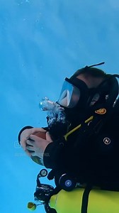 8K views · 198 reactions | What's your game plan? The Utah Highway Patrol, along with local law enforcement agencies, will be working extra hours to ensure everyone arrives home safely. Make your game plan ahead of time. If you plan to drink then plan a ride. #UtahHighwayPatrol #UHP #Superbowl #SuperBowlSunday | Utah Highway Patrol | Facebook