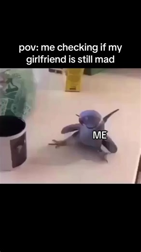 When Your Girlfriend Is Mad at You: Understanding, Memes, and More!