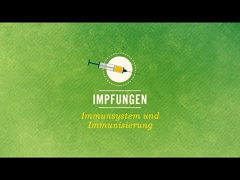 Impfungen: aktive und passive Immunisierung