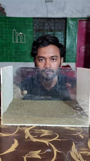 Understanding Gravity Retaining Walls in Civil Engineering