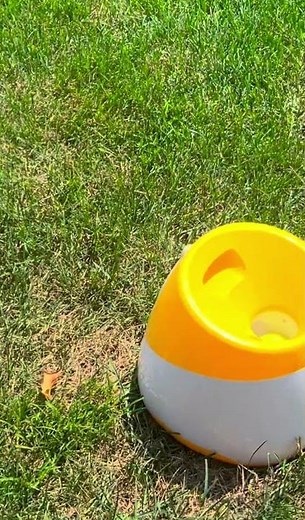 The Best Interactive Toy for High Energy Dogs-Automatic Ball Launcher
