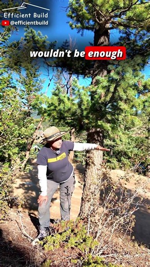 Ladder Fire Explained: Why 6 Feet Isn’t Always Enough for Wildfire Safety