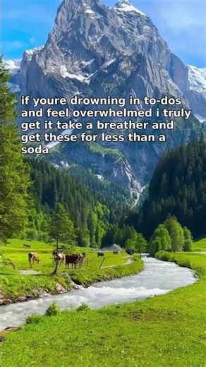 link in bio escape the overwhelm trap 🧠✨