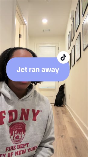 I’m over it today | dog time out