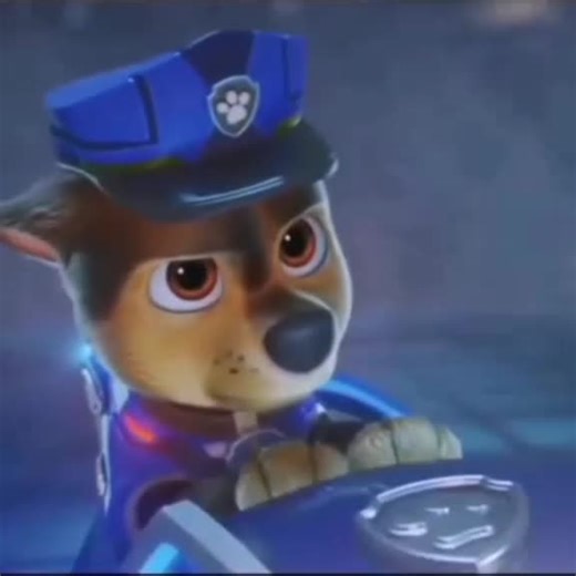 Paw Patrol Chase Edit l'm back I miss you all and I want to say thanks for 21.k followers #pawpatrol #allcountrys #loveyouall #thanksforthesupport