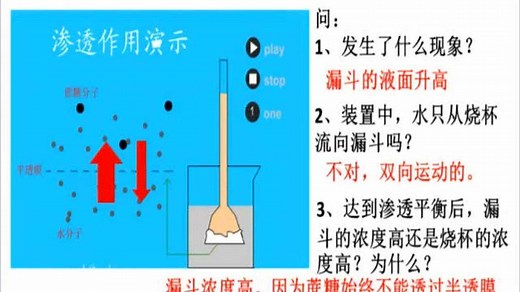 渗透作用原理