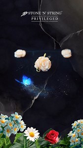 Coral, Nature's Unique Creations 20% Discount on Coral | STONE N STRING