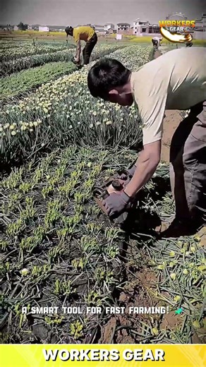 Portable Vegetable Harvesting Machine for Fast Crop Cutting and Efficient Farming in Agricultural