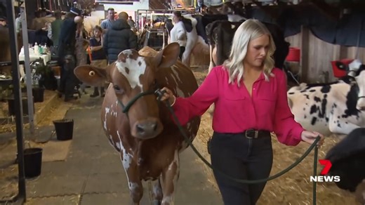 It has been perfect weather conditions for all the animal competitions at the Royal Adelaide Show - Casey Treloar has the latest from Wayville. Send your weather videos and photos to 7NEWS Adelaide: http://m.me/7NEWSAdelaide #7NEWS | 7NEWS Adelaide