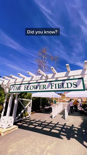 Exploring the Hidden Gems of Southern California Gardens