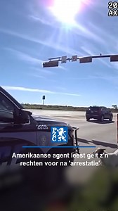 11K views · 43 reactions | Een ontsnapte geit liep gevaarlijk langs een drukke weg in Texas. #pzc #geit #ontsnapt #texas | PZC | Facebook