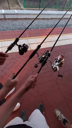 Fun day @perth__fishing @Jacob #f #perthfishingwa #topwater #softplasticfishing #daiwafishing #daiwafishingreel #lifestyle #fypシ゚viral #foryoupageofficiall #fypシ゚viral🖤tiktok #fishtiktok #bream #viral #foryou #pinksnapper #dhu #bluefish #flathead #slob #b