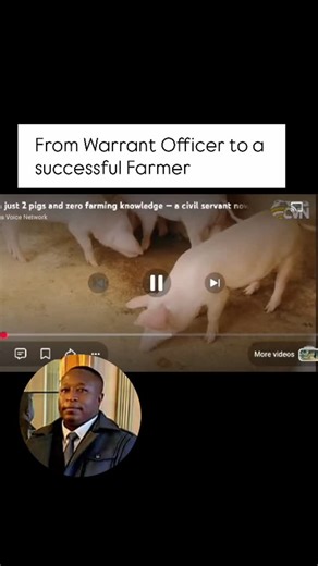 The Zimcelebs on Instagram: "This is retired Warrant officer Class 2 Nyamakura who took part in training a well seasoned senior officer Major Sean Mnangagwa at the Zimbabwe Military Academy 15 years ago. Now he is a retired officer with a succeful agricultural project which is aligned to vision 2030."