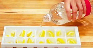 Easy DIY Lemony Ice Garbage Disposal Cleaners Tutorial