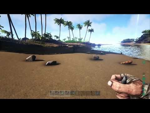 ARK survival evolved - Guide : comment bien débuter - Ep02 : Construction et apprivoisement