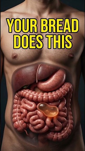 The Brutal Truth About Bread Digestion #bloating #fitness #shorts