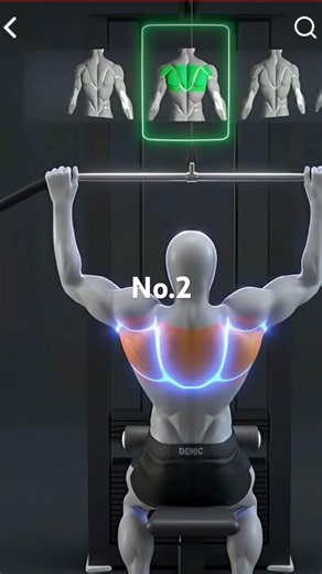 Back exercise at gym || Back workout with dumbbells || #shorts #gym #workout #trending #gym #fifa