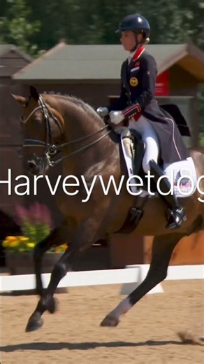 I think everyone knows the story, the greatest British dressage rider of all time #dressage