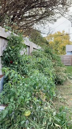 Cannot wait on spring🌼🌺🌸