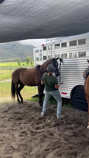 10K views · 167 reactions | Weekend vibes at Jackson Hole Polo Club 睊 : Courtney Price #Jamming #PoloParty #PoloPony #PoloPlayer #Groom #Summer2023 | United States Polo Association | Facebook