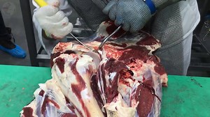 5.8K views · 76 reactions | Angajăm persoane serioase în Olanda la...