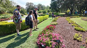 3.5K views · 79 reactions | Come along as we check out the Dallas Arboretum's plant trials and tour Greenlake Nursery! ✨ See the latest plant innovations, stunning displays, and behind-the-scenes action. Discover new plant varieties and get inspired by all the amazing horticulture. 華 #smithsgardentown #dallasarboretum #planttrials #greenlakenursery #plantlovers #gardeningadventures | Smith's Gardentown | Facebook