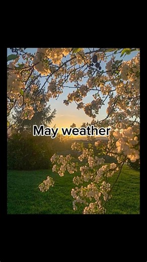 “May isn’t pretty” inspired by ‪@aqua_alien‬