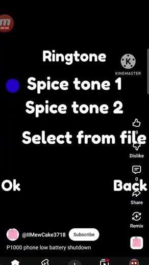 P1000 Low Battery Shutdown