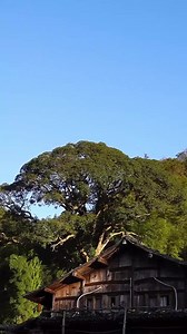𝗭𝗵𝗲𝗷𝗶𝗮𝗻𝗴’𝘀 𝗮𝗻𝗰𝗶𝗲𝗻𝘁 𝘃𝗶𝗹𝗹𝗮𝗴𝗲 Located at Huangnan town of Yongjia county, Wenzhou, Zhejiang province, Jijia village rests upstream of the Nanxi River. With more than 300 years of history, the village is built on top of a basin in the mountains, with only one route connecting the village with the outside world. | China Minutes