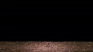 Time Lapse Pousse Haricot Graine Haricot Poussant Sur Fond Noir
